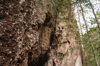  Spezialisierte Führer 